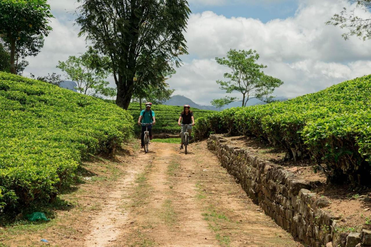 Ceylon Tea Trails - Relais And Chateaux Hatton Esterno foto